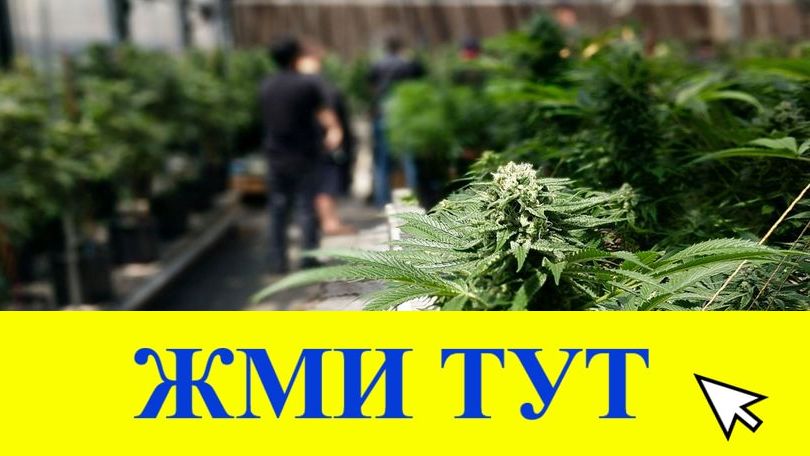 Купить наркотики в Радужном